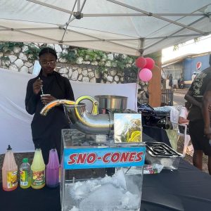 Sno Cone Machine